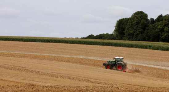 Can agriculture adapt to climate change