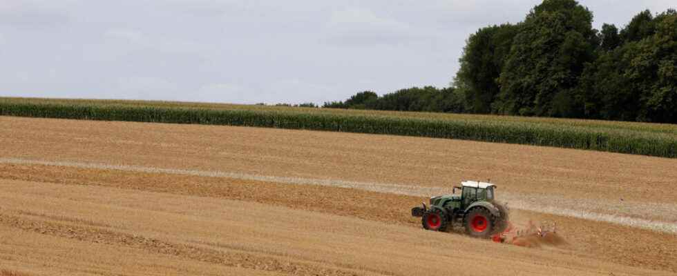 Can agriculture adapt to climate change