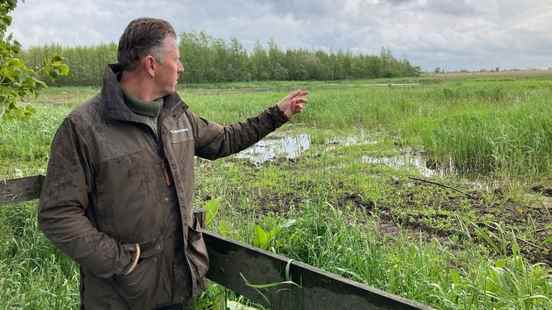 Concerns about De Zouweboezem nature reserve Swamp is drying up