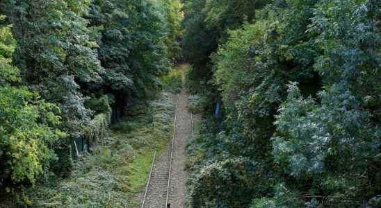 Death of Assia at the Buttes Chaumont the husband indicted and