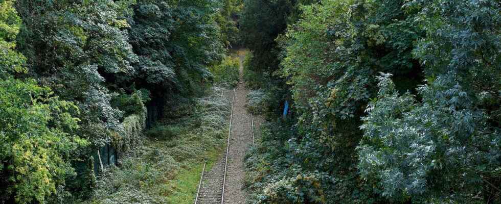 Death of Assia at the Buttes Chaumont the husband indicted and