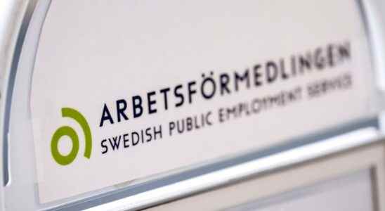 Employee cheated Arbetsformedlingen of 700000