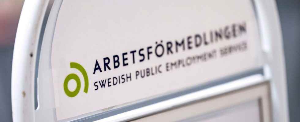 Employee cheated Arbetsformedlingen of 700000