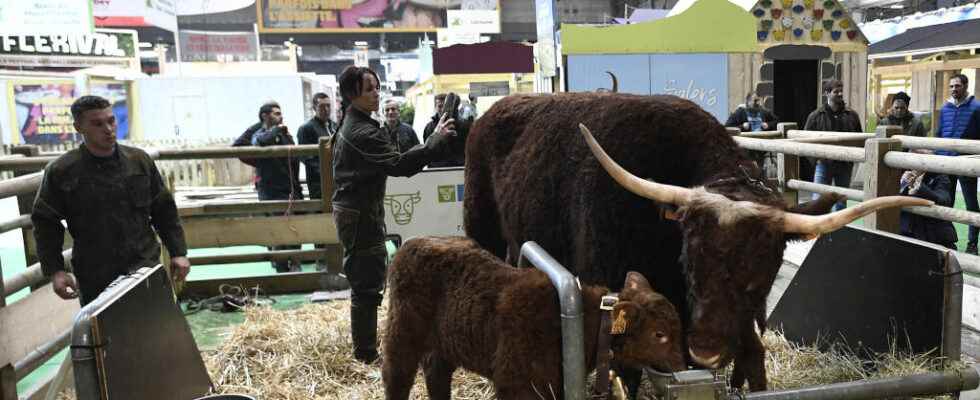 French agriculture in the midst of a vocations crisis