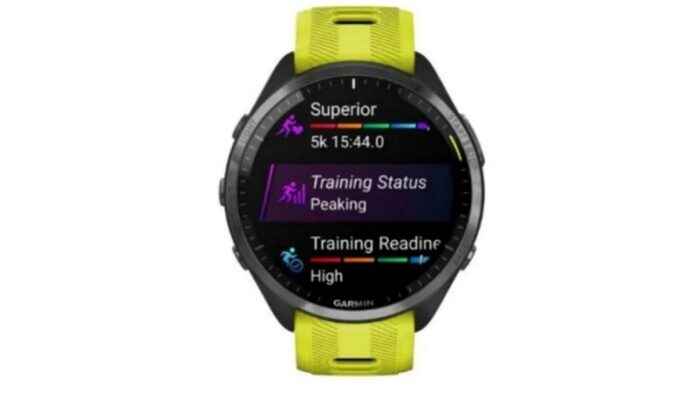 Garmin Forerunner 965 Watch Getting Ready