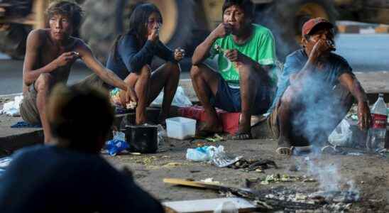 Gold panning malaria deforestation In Brazil the slow agony of