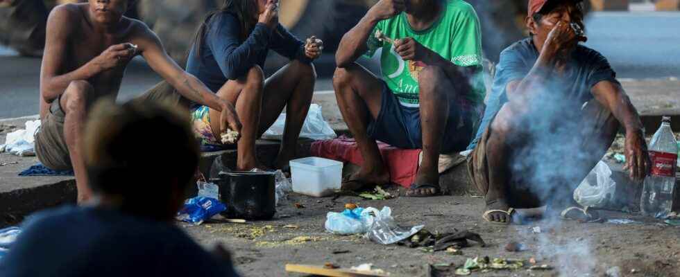 Gold panning malaria deforestation In Brazil the slow agony of