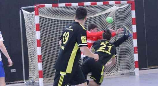 Handball Houten to quarterfinal cup