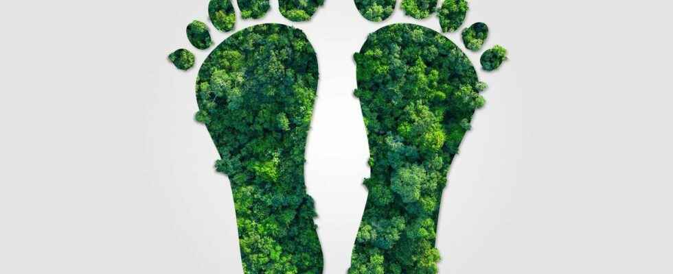 How can you reduce your annual carbon footprint by a