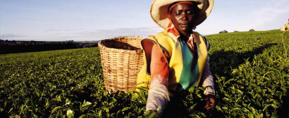 In Kenya dozens of women testify to sexual violence in