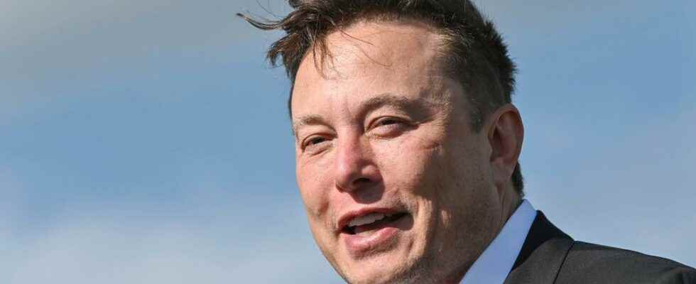 Latest news Elon Musk Twitter will have a new