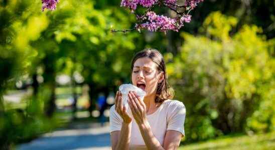 Pollen allergies almost all of France is on red alert