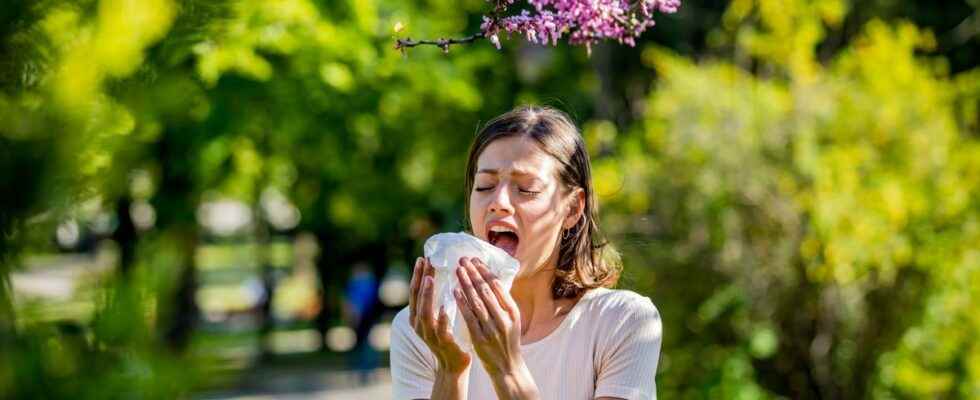 Pollen allergies almost all of France is on red alert