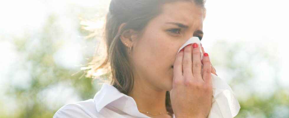 Pollen allergy Dinan hospital strikes back