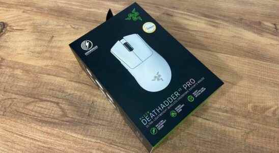 Razer Deathadder V3 Pro review