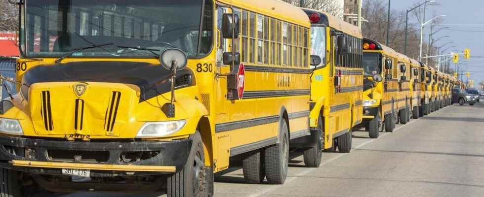 School buses canceled Friday in the Sarnia area