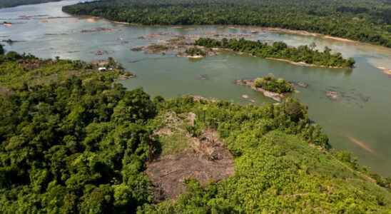 Tourism and biodiversity We must limit access to the resource