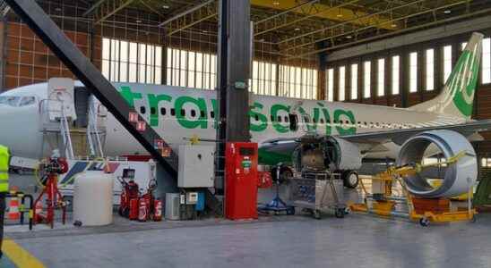 Transavia is there a female pilot on the plane