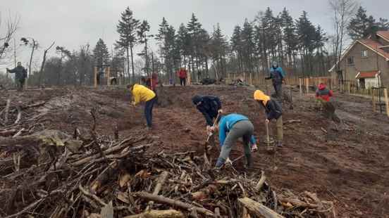 Tree planting day in Leersum for Lombok forest recovery It