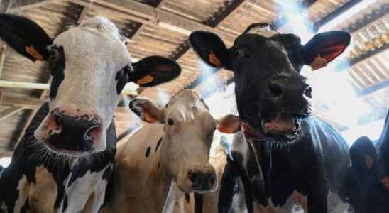 connected farms and an autonomous dairy machine at the Agricultural