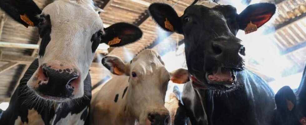 connected farms and an autonomous dairy machine at the Agricultural