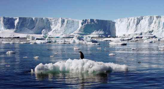 the Antarctic sea ice at its lowest