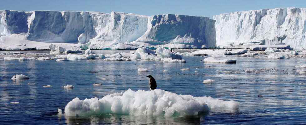 the Antarctic sea ice at its lowest