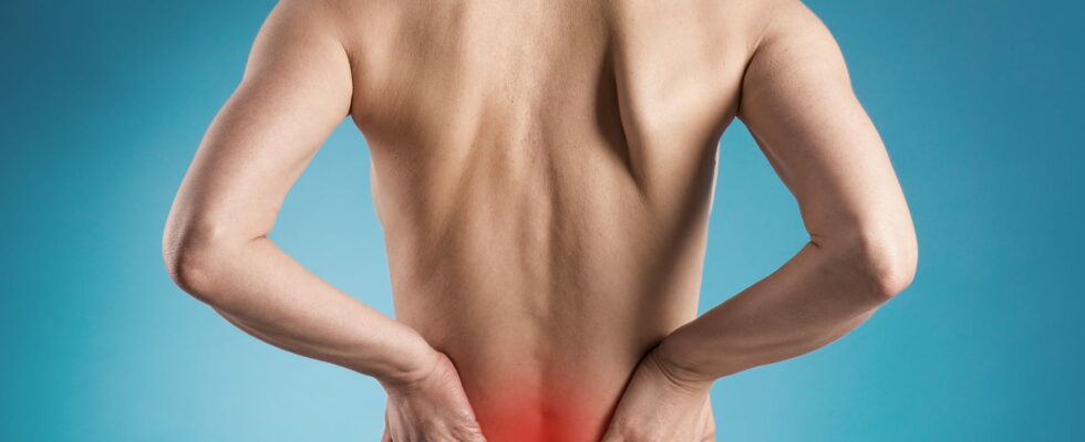 10 misconceptions about back pain