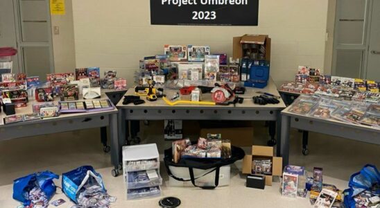 400K in stolen collectibles some from Brantford store recovered Police