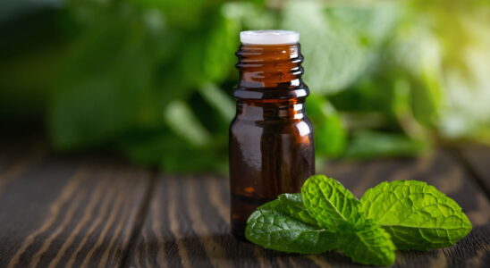 8 non serious health problems cured with peppermint