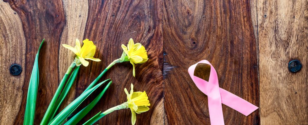 A Daffodil against Cancer race pins donations