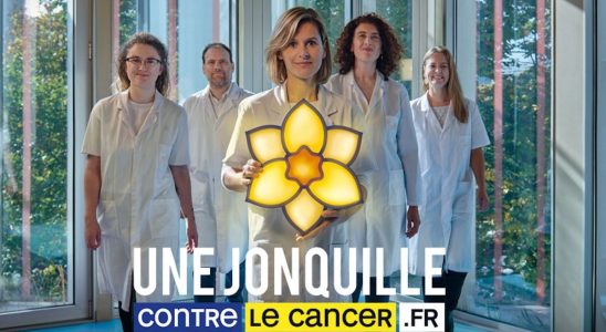 A daffodil against cancer the Institut Curie launches its campaign