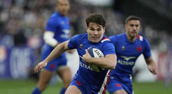 After a successful Six Nations tournament French rugby is heading