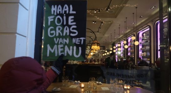 Again actions against foie gras at restaurants in Utrecht