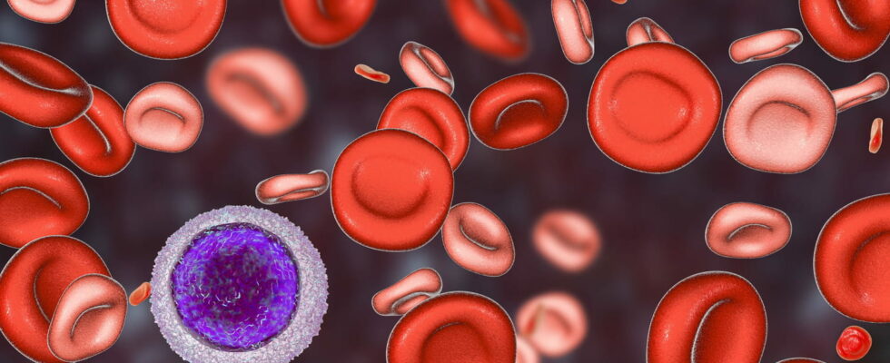 Anisocytosis is this blood abnormality serious