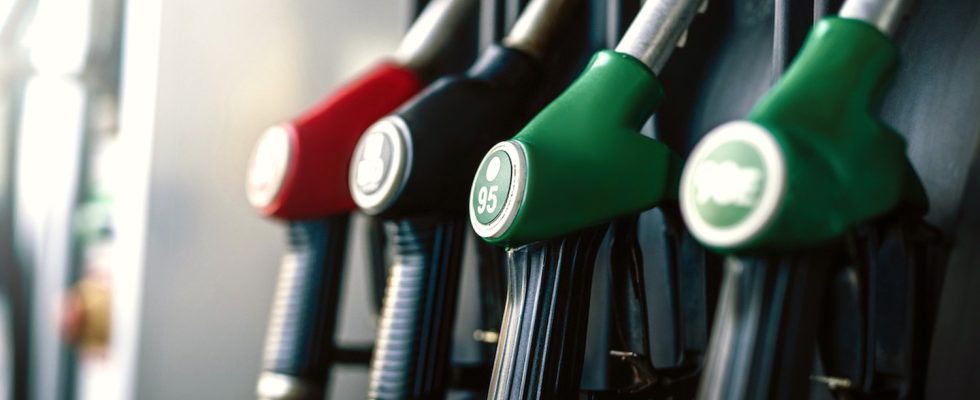 Are you looking for petrol or diesel service stations to