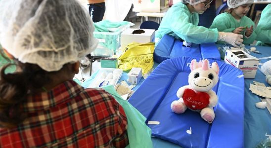 At the teddy bear hospital not even afraid of white