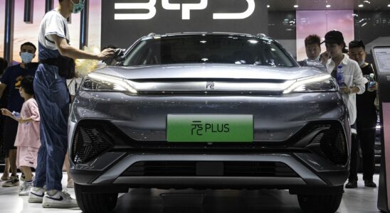 BYD the Chinese manufacturer that overshadows Tesla