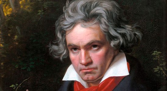 Beethoven DNA analysis of strands of hair reveals composers secrets