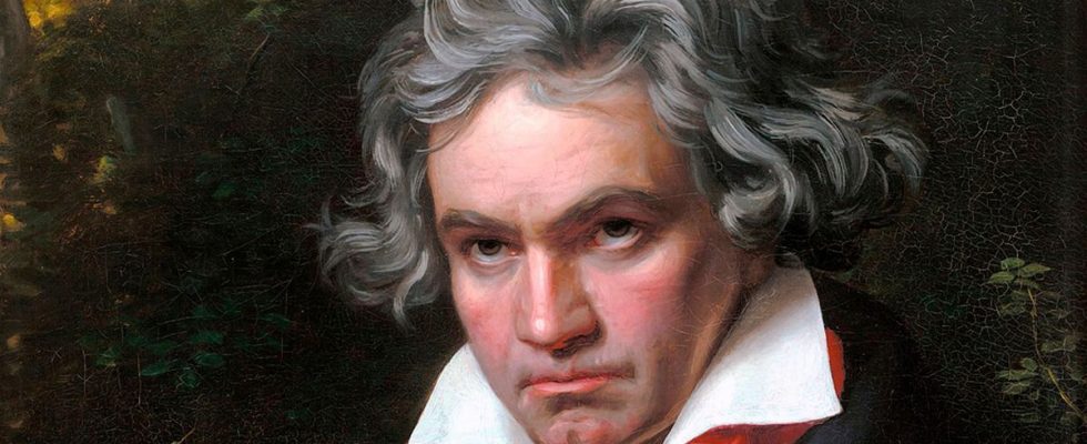 Beethoven DNA analysis of strands of hair reveals composers secrets