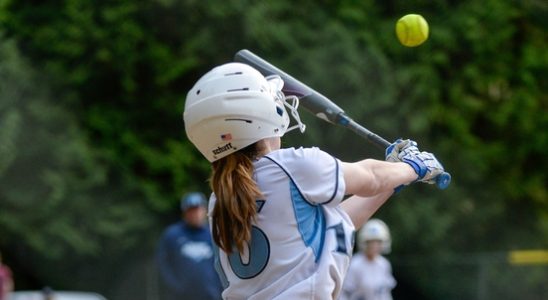 Board of the national baseball and softball association resigns after