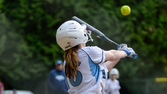 Board of the national baseball and softball association resigns after