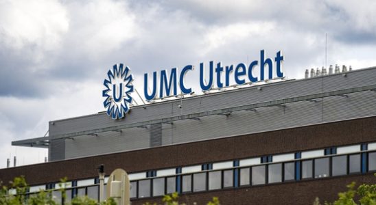 Brain researchers UMC Utrecht make discovery Brain develops longer than