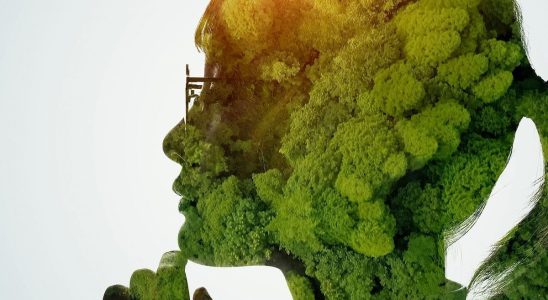 Can we train our brain to be greener