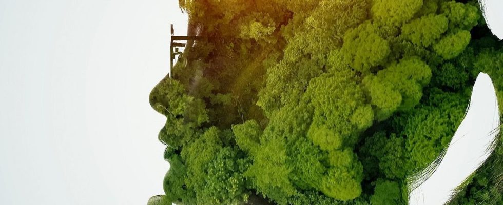 Can we train our brain to be greener