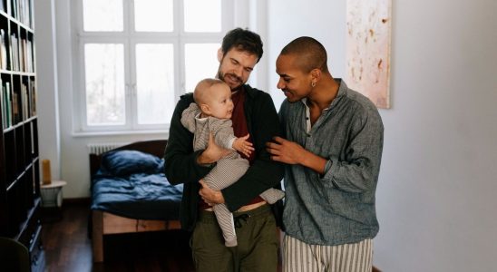 Children in same sex families grow as well as others