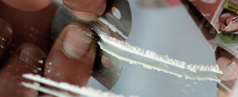 Cocaine a strong and continuous increase in emergency room visits