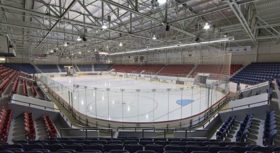 Councilors back consultant study into new arena for city