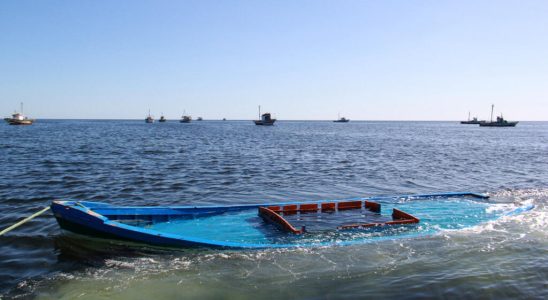 Dozens of migrants drowned off Tunisia in new shipwrecks