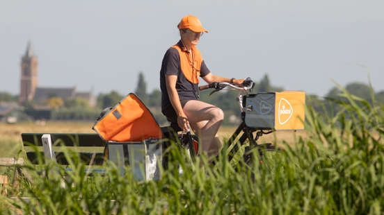 Eemnes wants poor verges in the polder Good for soil